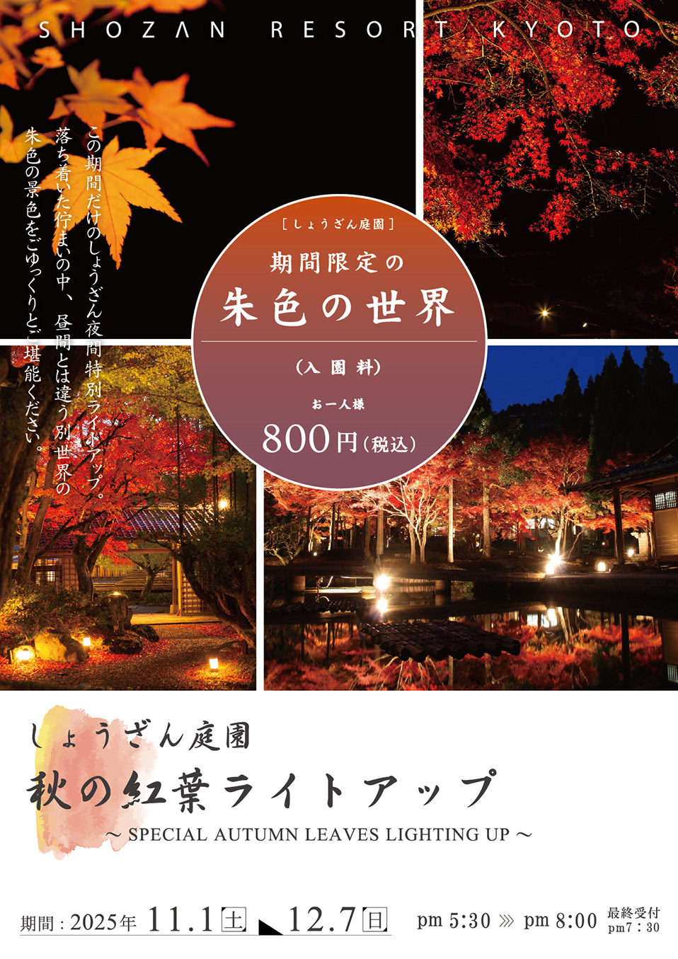 秋の紅葉ライトアップ